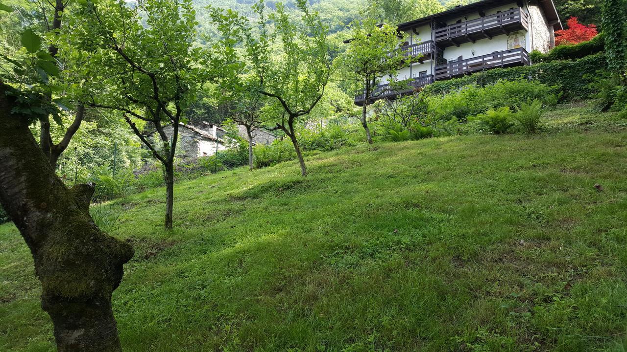 Casa Ronit Villa Delebio ภายนอก รูปภาพ